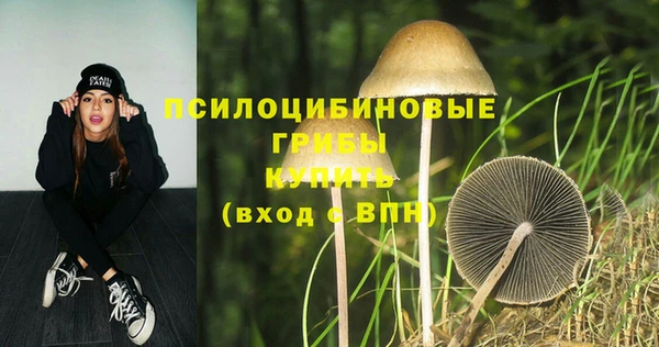 ПСИЛОЦИБИНОВЫЕ ГРИБЫ Нягань