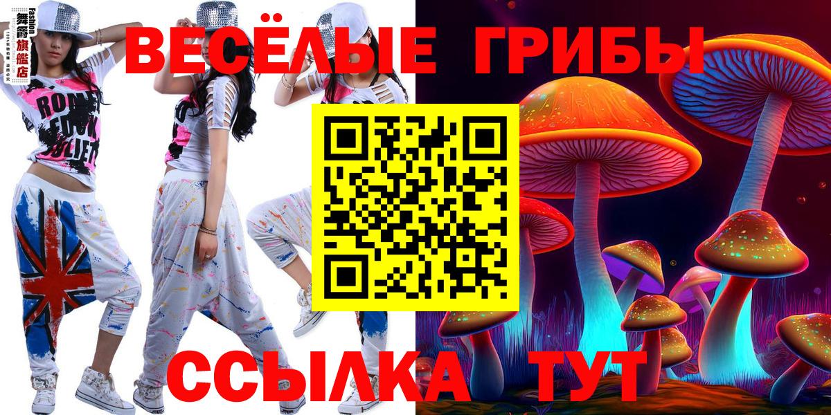 Галлюциногенные грибы Cubensis Нарьян-Мар