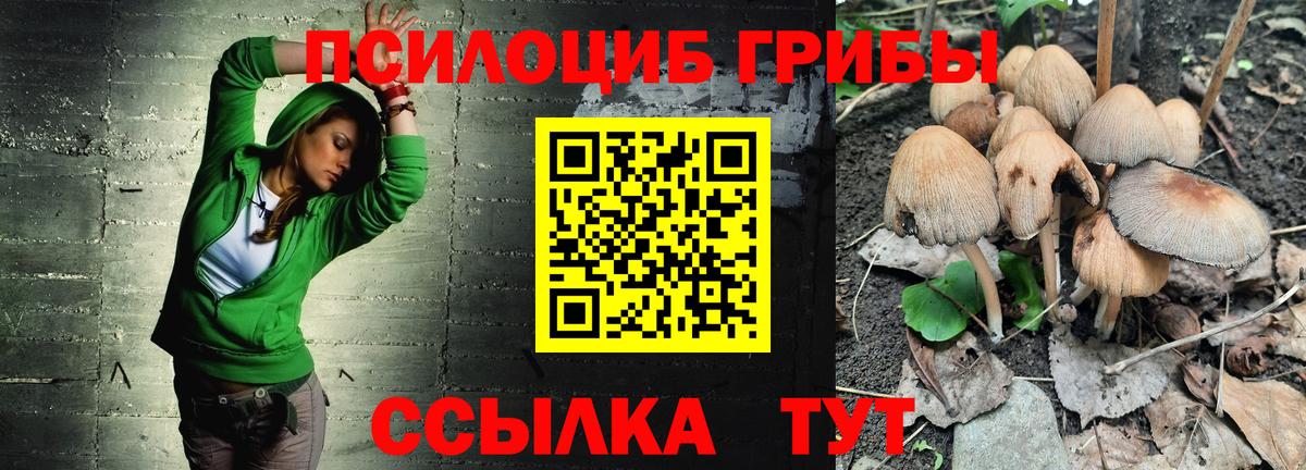 Галлюциногенные грибы MAGIC MUSHROOMS  Нарьян-Мар  закладки  Псилоцибиновые грибы Psilocybe 