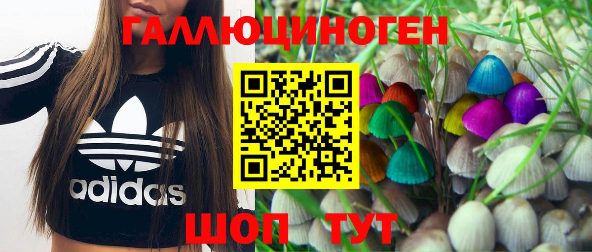 Нарьян-Мар  Галлюциногенные грибы мицелий  Вход с VPN 